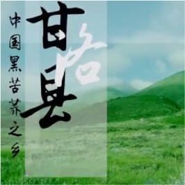 甘洛苦荞宣传片
